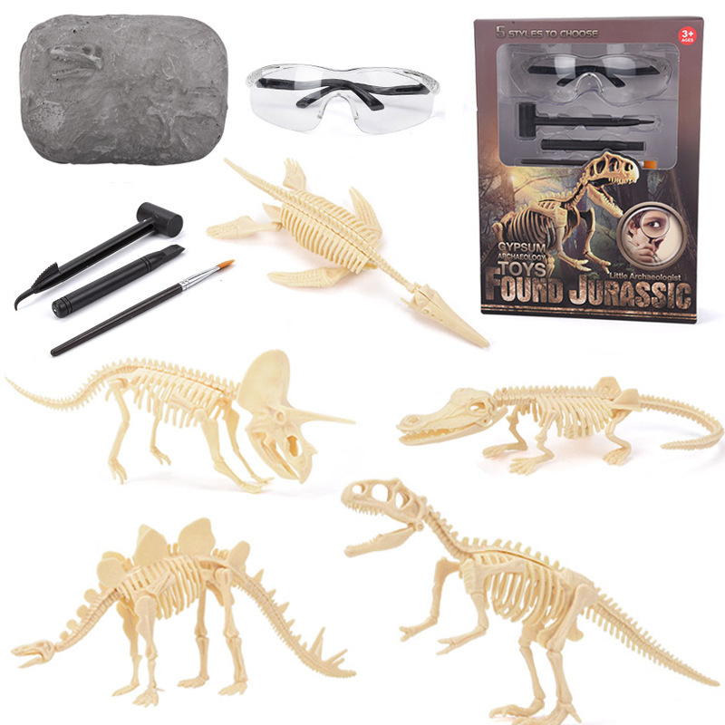 Science Kit - Kit d'excavation de fossiles de dinosaures