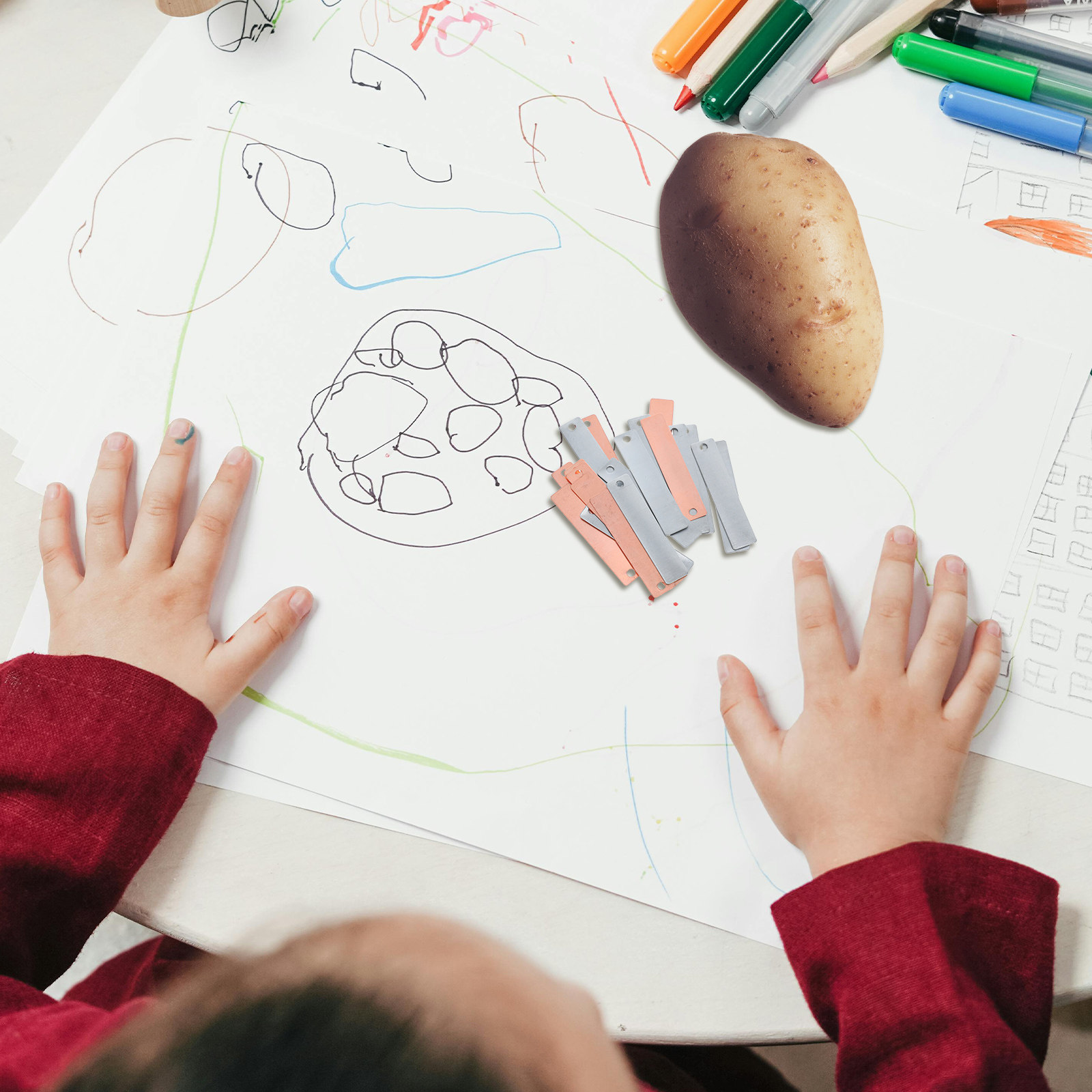 Plaques d'électrodes en cuivre - Science Kit avis et prix
