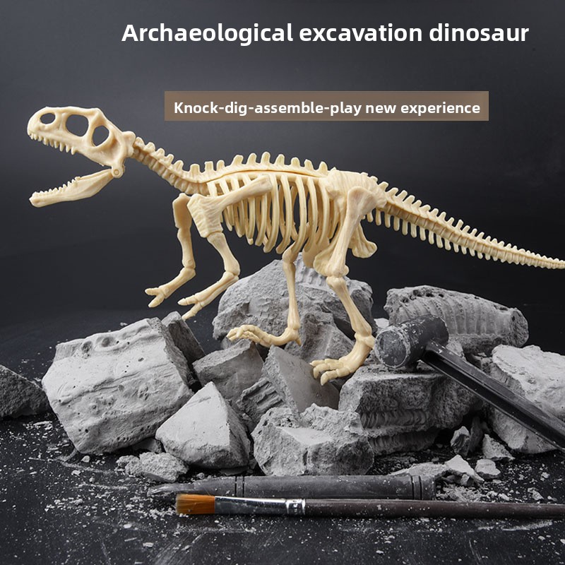 Kit d'excavation de fossiles d - Science Kit avis et prix