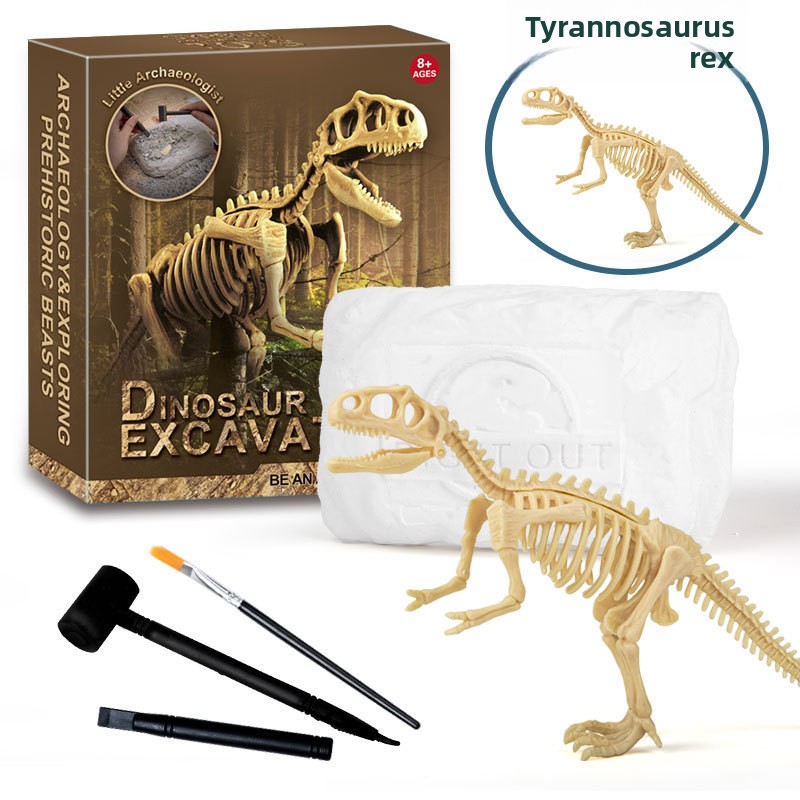 Kit d'excavation de fossiles d - Science Kit avis et prix